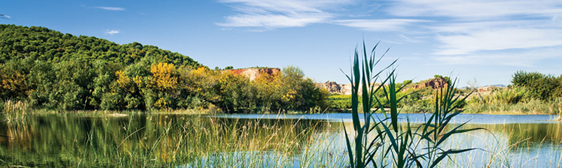 Els estanys d'Almenara