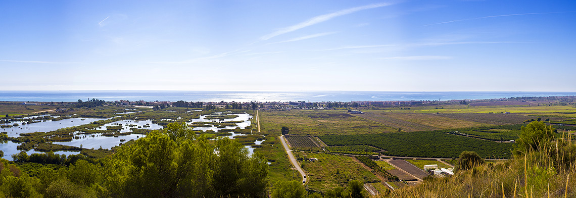 La Marjal d'Almenara